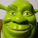 Shrek Doll Close-Up on Face