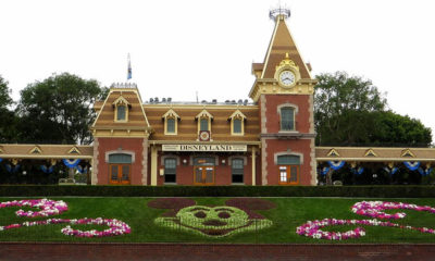 Disneyland Floral Mickey